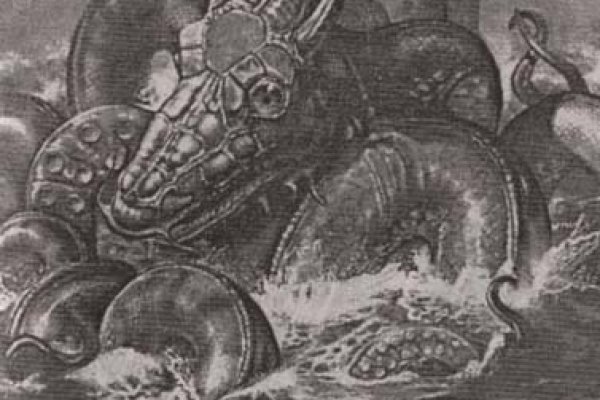 Kraken 12
